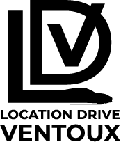 Logo LDV